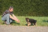TEST DE CONFIANCE PAR L'ATTRACTION